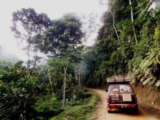 Uganda (Bwindi NP)